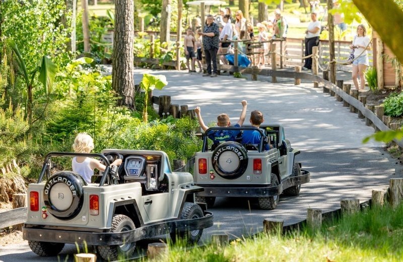 De bergen jungle cars 9