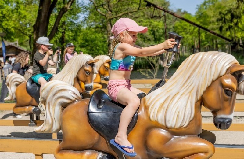 De bergen pony express 1