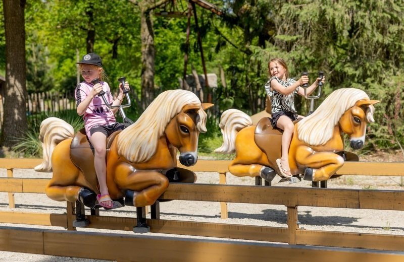 De bergen pony express 2